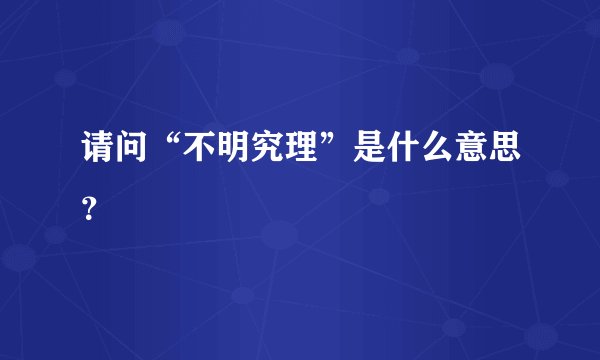 请问“不明究理”是什么意思？