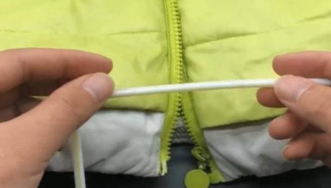 英语课本中小松鼠zip的中文叫什么？