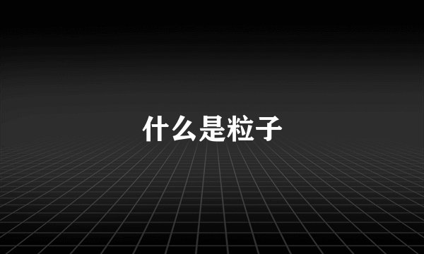什么是粒子