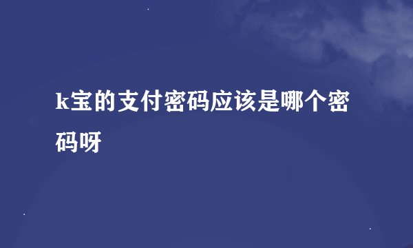 k宝的支付密码应该是哪个密码呀