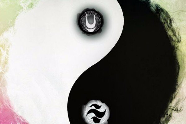 中医的阴阳调和是怎么回事?