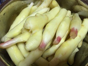 如何腌姜芽子咸菜