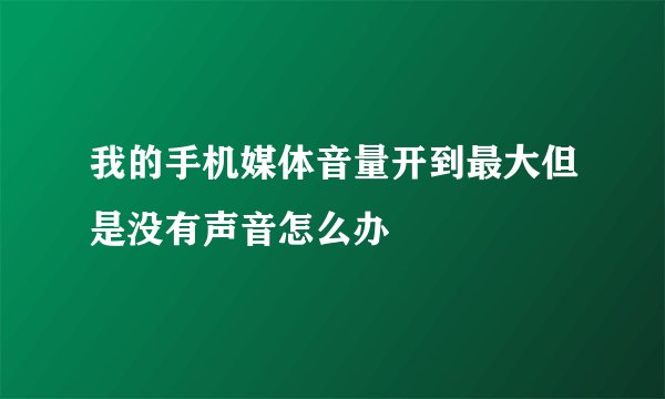 我的手机媒体音量开到最大但是没有声音怎么办