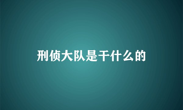 刑侦大队是干什么的