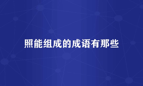 照能组成的成语有那些