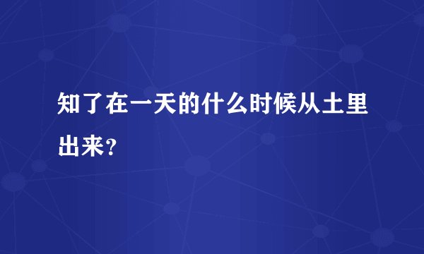 知了在一天的什么时候从土里出来？