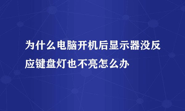 为什么电脑开机后显示器没反应键盘灯也不亮怎么办