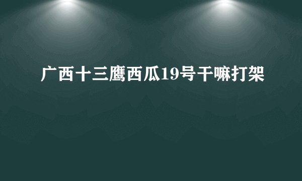 广西十三鹰西瓜19号干嘛打架