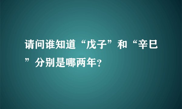 请问谁知道“戊子”和“辛巳”分别是哪两年？