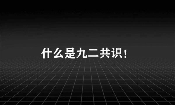 什么是九二共识！