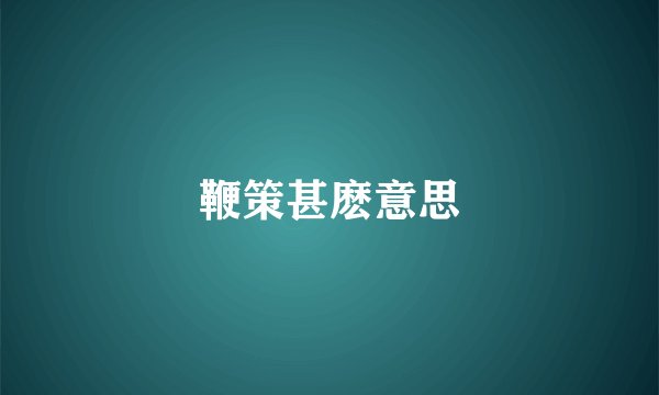 鞭策甚麽意思