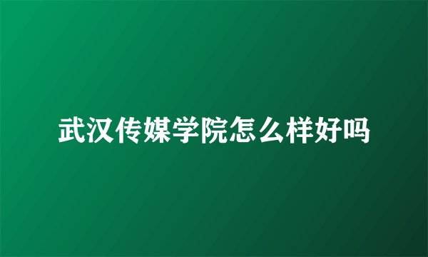 武汉传媒学院怎么样好吗