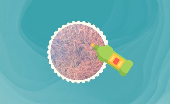 红线虫怎样消毒杀菌