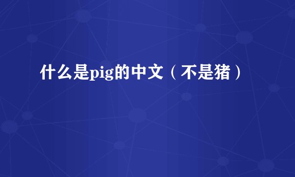什么是pig的中文（不是猪）