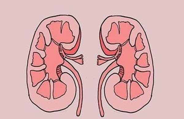 词典中的衰竭的意思？