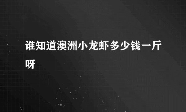谁知道澳洲小龙虾多少钱一斤呀
