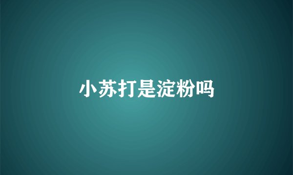 小苏打是淀粉吗