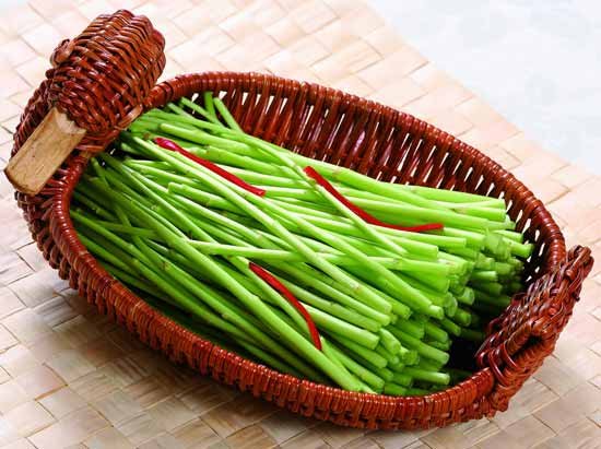 芦蒿和茼蒿的区别