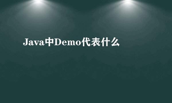 Java中Demo代表什么
