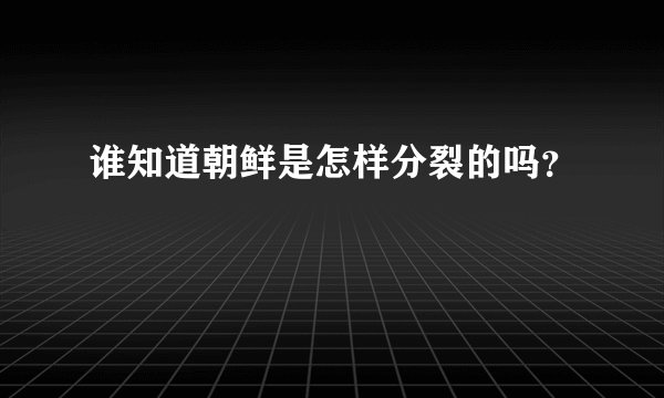 谁知道朝鲜是怎样分裂的吗？