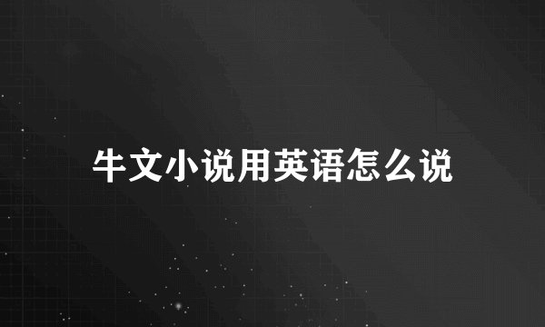 牛文小说用英语怎么说