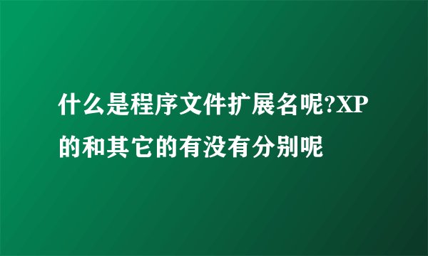 什么是程序文件扩展名呢?XP的和其它的有没有分别呢