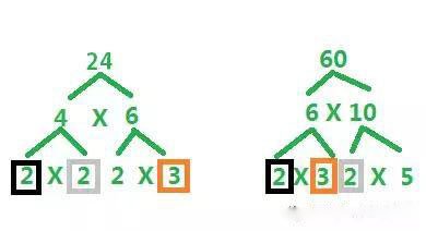 最大公约数是什么意思