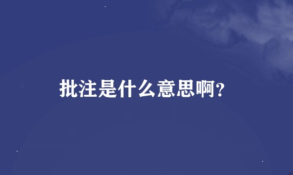 批注是什么意思啊？