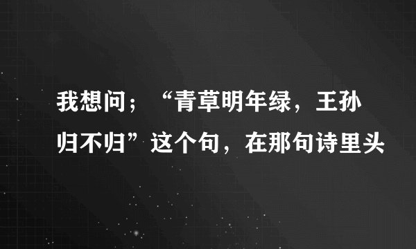 我想问；“青草明年绿，王孙归不归”这个句，在那句诗里头