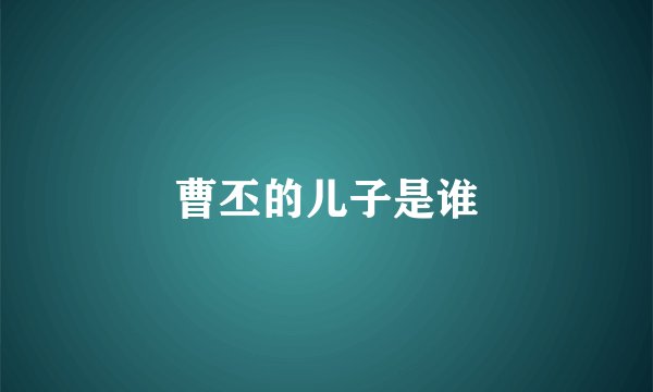 曹丕的儿子是谁