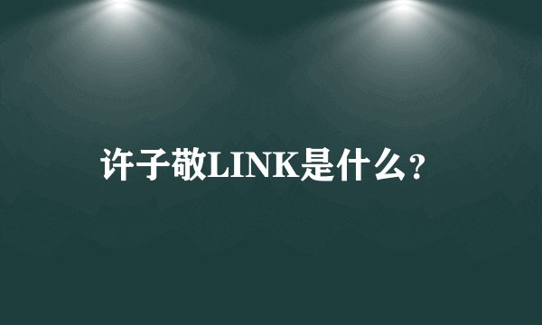 许子敬LINK是什么？