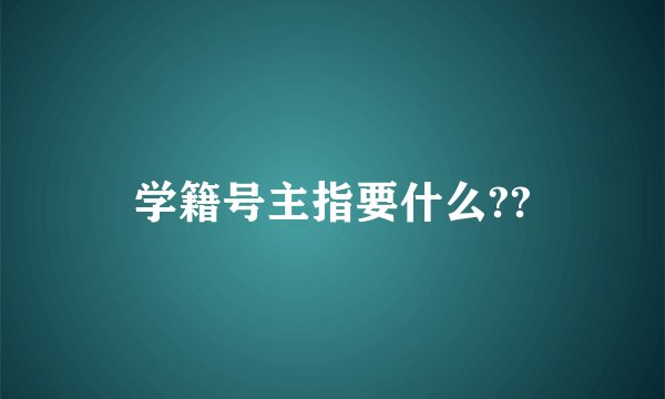 学籍号主指要什么??