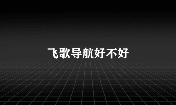 飞歌导航好不好