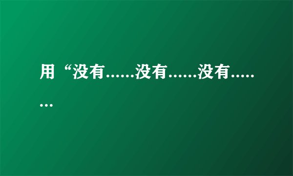 用“没有......没有......没有......也没有......”造句