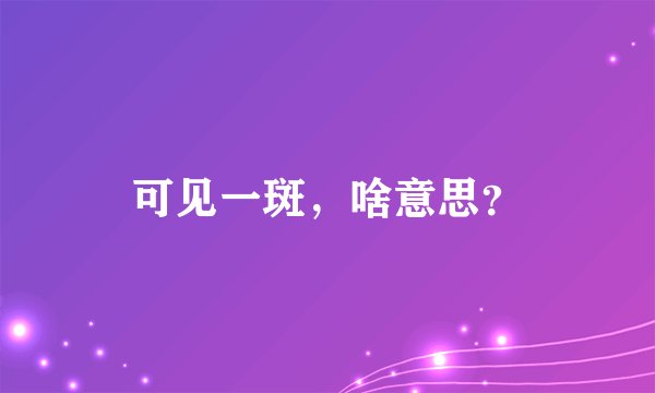 可见一斑，啥意思？