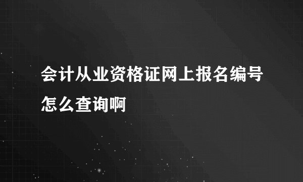 会计从业资格证网上报名编号怎么查询啊