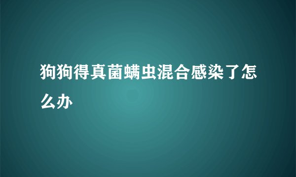 狗狗得真菌螨虫混合感染了怎么办