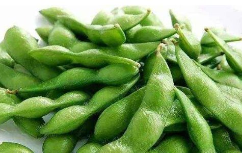 毛豆的热量