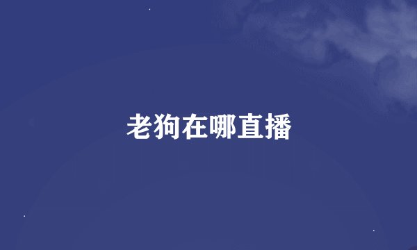 老狗在哪直播