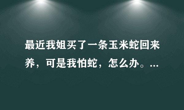 最近我姐买了一条玉米蛇回来养，可是我怕蛇，怎么办。我要不要趁她不在家叫人把蛇给扔了。