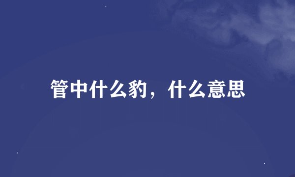 管中什么豹，什么意思