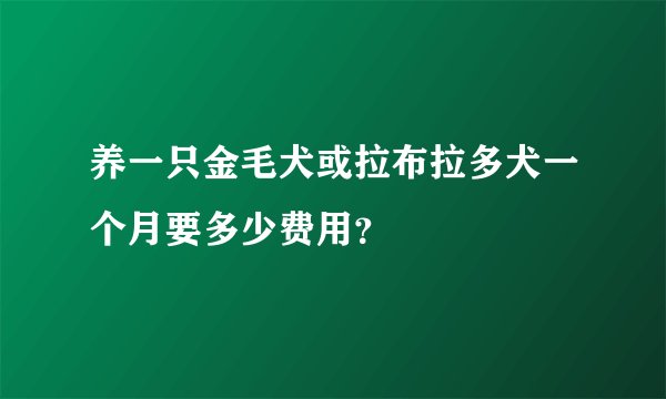 养一只金毛犬或拉布拉多犬一个月要多少费用?