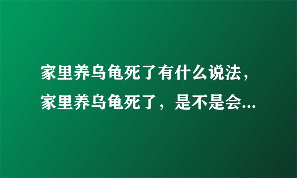 家里养乌龟死了有什么说法，家里养乌龟死了，是不是会倒霉啊？
