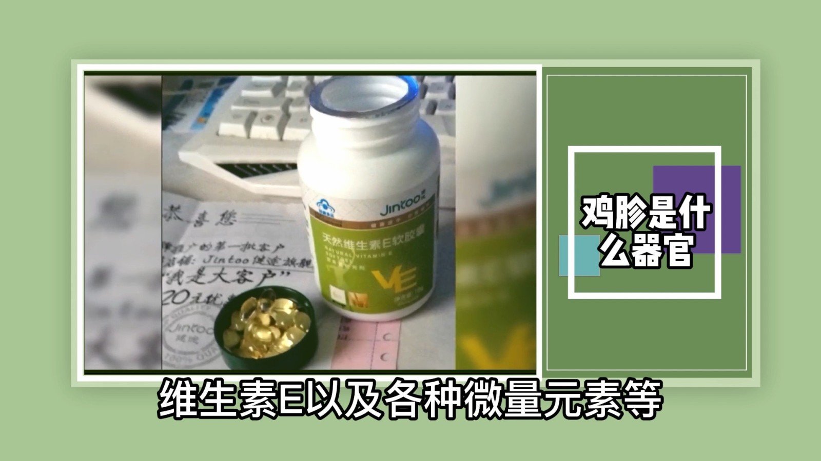 鸡胗是什么器官?