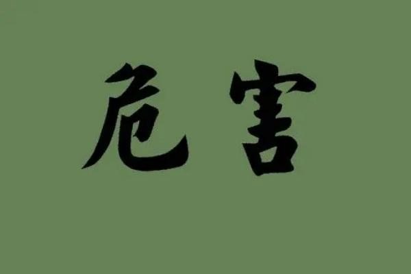 毁坏的近义词和反义词
