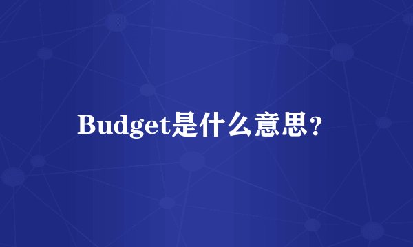 Budget是什么意思？