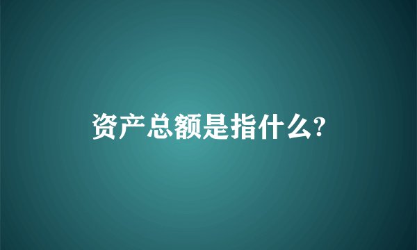 资产总额是指什么?