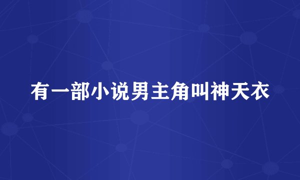 有一部小说男主角叫神天衣