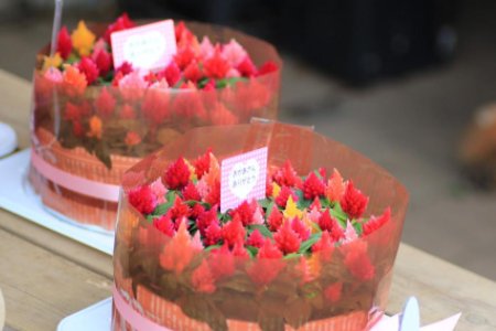 3岁宝宝过生日祝福语