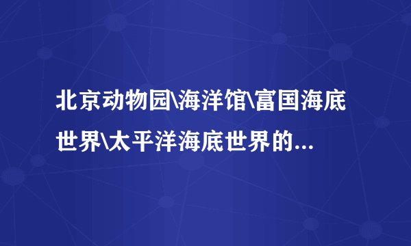 北京动物园\海洋馆\富国海底世界\太平洋海底世界的景点门票是多少钱呀?